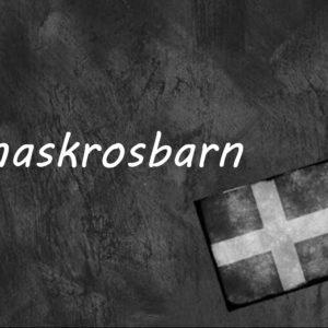 #Schwedisches #Ausgabe #Des #Tages #Maskrosbarn