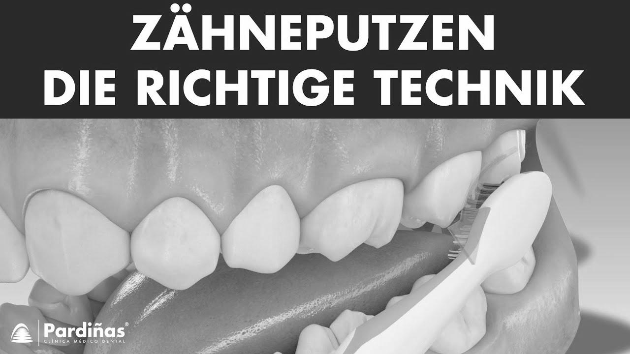 Brushing your {teeth|tooth|enamel} – {The right|The best|The proper|The correct|The appropriate|The fitting|The suitable|The precise} {technique|method|approach} ©
