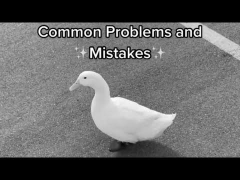 Learn how to Choose Up a Duck #1 (full video)